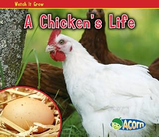 A Chicken's Life (Acorn: Watch It Grow)