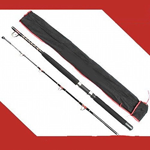 DH Lure Heavy Rod 1.8m canne à pêche gros poisson mer profonde bateau