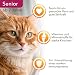 IAMS Delights Senior Katzenfutter Nass - Multipack mit Huhn in Gelee, hochwertiges Nassfutter für ältere Katzen ab 7 Jahre, 12 x 85 g