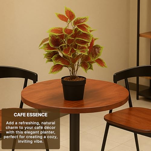 Image of Habere India-All the Cultures Fabricating India Artificial Plant with Pot for Home Decor | Fake Plants for Living Room Decoration | Artificial Plants for Decoration (Design 01; L21 x W21 X H39 cm)