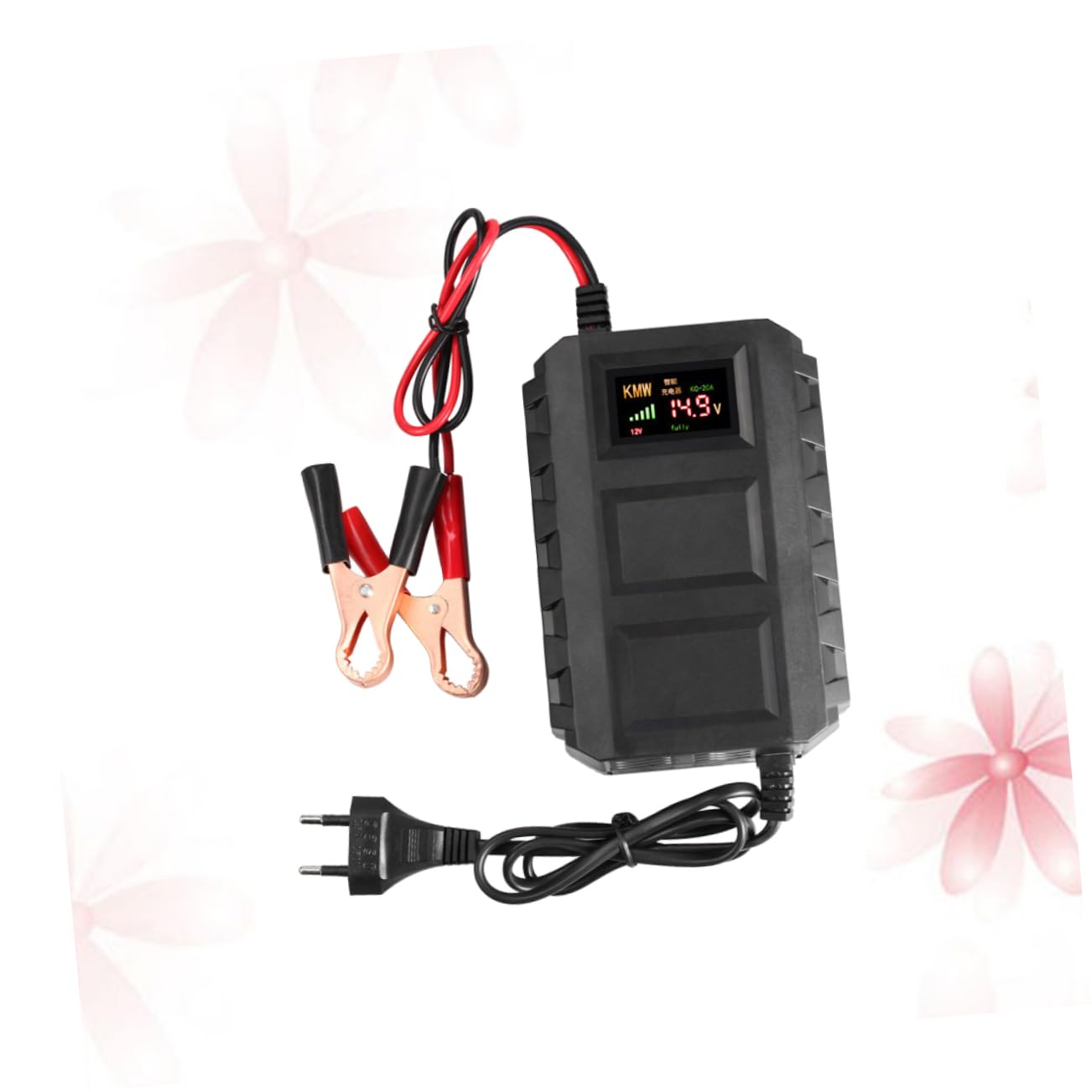Caricabatterie per Batteria Auto 12V 20A, Nero in Plastica per Moto