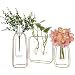 Metal Vase Frame, Geometric Plant Pot, 3Pack,Centerpiece Plant Vase, Plants Tabletop Display Holder with Iron Art Frame Stand for Table Office Home Decor