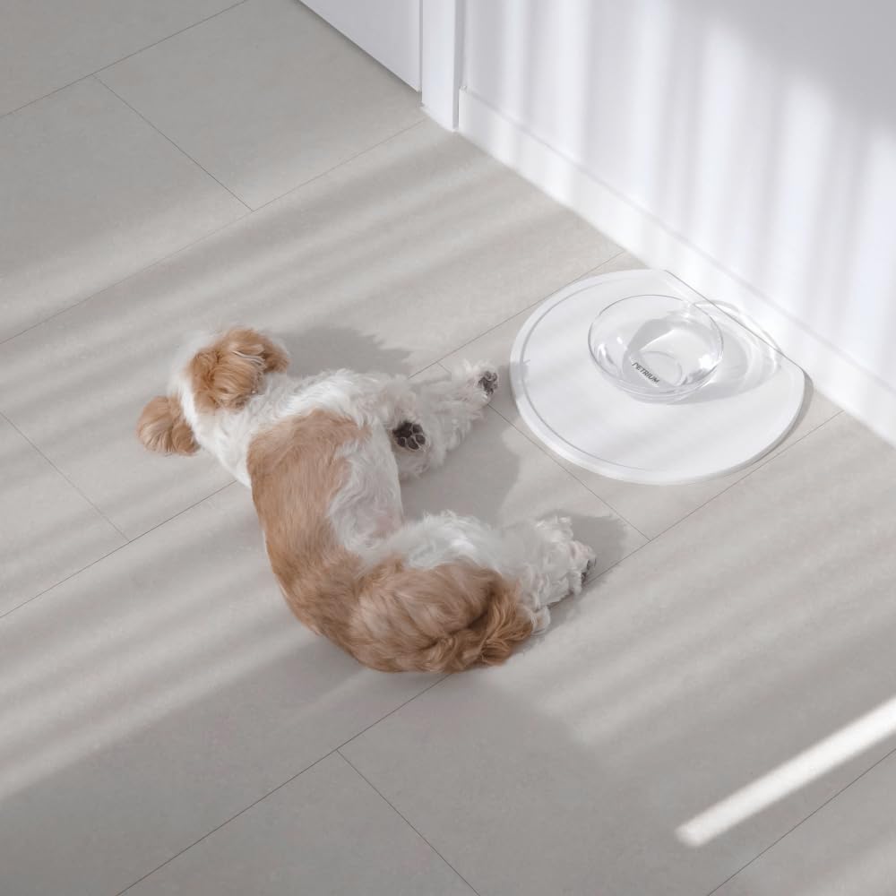 Stone Dry Mat for Pets, Absorbent Pet Feeding Mat for Food, Water Bowls Quick Drying Mat for Pet Cat Water Fountains Natural Diatomaceous Earth Non-Slip Dog Cat Accessories for Messy Drinkers