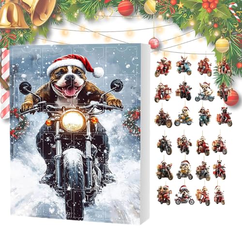 Dfyiq 2025 NX}X Ahxg  - 24 2DAN  JEg_E J_[,킢I[ig̃oCN,ƑAoP[VAƒA؁AǁAhAAAp[eB[AtFCo[Azf[