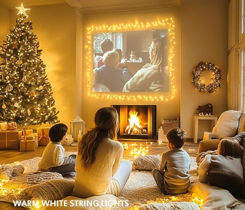 Image of HashWOW 10 Meter LED Diwali Lights for Decoration for Home. String Light for Decoration | Decorative LED Rice Light | Warm White, Pack of 1, for Diwali, Ganesh Chaturthi, Halloween, Christmas Decor