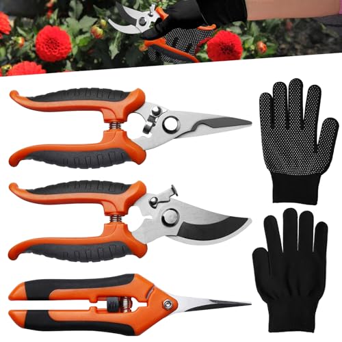 WANDGU Set de Sécateurs Bypass: 3 Pièces Sécateurs Précision Jardinage avec Gants de Jardin, Ciseaux de Jardinage en Acier Inoxydable, Sécateur de Jardin Professionnel pour Fleurs, Bonsaïs (Orange)