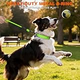 Taglory Hundehalsband, Weich Gepolstertes Neopren Nylon Hunde Halsband für Mittlere Hunde, Verstellbare und Reflektierend für das Training, Grün