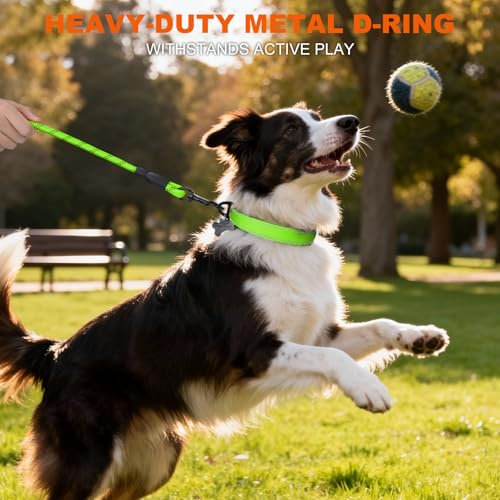 Taglory Hundehalsband, Weich Gepolstertes Neopren Nylon Hunde Halsband für Mittlere Hunde, Verstellbare und Reflektierend für das Training, Grün