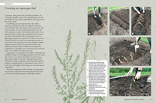 The Kew Gardener's Guide To Growing Vegetables: The Art And Science To Grow Your Own Vegetables (Volume 7) (Kew Experts, 7) #TOP2