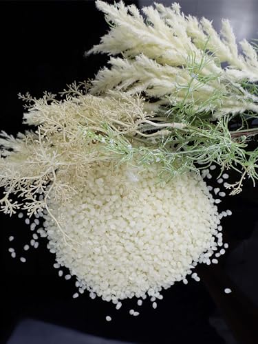 Wachsmann 100% Cera d'api Pura, 250 g di pastiglie...