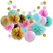 20 Pcs Gold Tissue Paper Flowers And Pink Pom Poms Lanterns For Baby Shower Birthday Decoration,Bridal Wedding Party Supplie