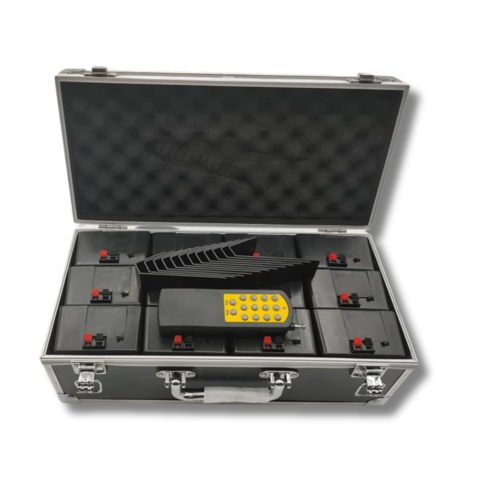 Centralina Fuochi d’Artificio Freddi 12 Canali Wireless con Telecomando – Kit Sistema Pirotecnico per Fontane Fredde e Scintille per Matrimoni, Eventi e Feste, Con Custodia, Batterie 9V Cat.1