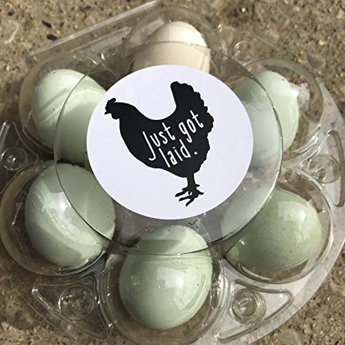 Just Got Laid Stickers, Egg Carton Stickers, Just Got Laid, Egg Labels, 24 Stickers