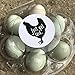 Cute Just Got Laid, Egg Carton Stickers, Hobby Farming, Duck Eggs, Chicken Eggs