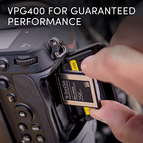 SanDisk Professional PRO-CINEMA CFexpress™ VPG400 Type B Card upto 1700MB/s, Black, 256GB - Image 2
