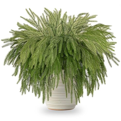 ZOCOYUU 30 Stück Weihnachts-Norfolk-Kiefernzweige,...