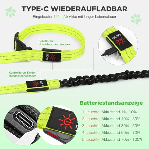 Leuchthalsband Hund & LED Hundeleine Set 2-in-1 Aufladbar mit Typ-C, 500m Sichtbarkeit Dehnbares Band für Nachtspaziergänge（Grün，L