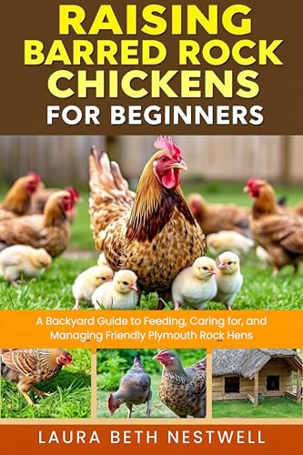 Raising Barred Rock Chickens for Beginners: A Backyard Guide to Feeding, Caring for, and Managing Friendly Plymouth Rock Hens