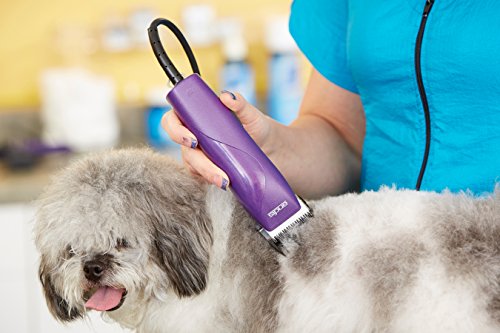 Andis (Pet) 22690 Easyclip Pro-Animal 7-Piece Detachable Blade Clipper Kit,Purple #TOP4