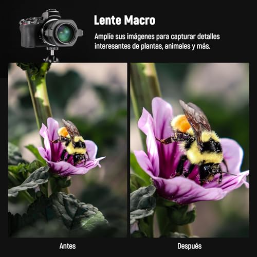 Adaptador de Lente Macro NEEWER 43mm 37-52mm Compatible - Fernando Cortés Adaptador de Lente Macro NEEWER 43mm 37-52mm Compatible - Fernando Cortés