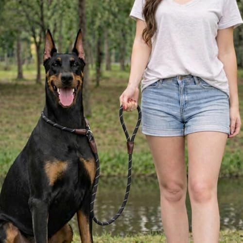 Reflective Slip Lead Dog Leash, Heavy Duty Rope No Pull Training Leash with Adjustable Loop for Medium & Large Dogs