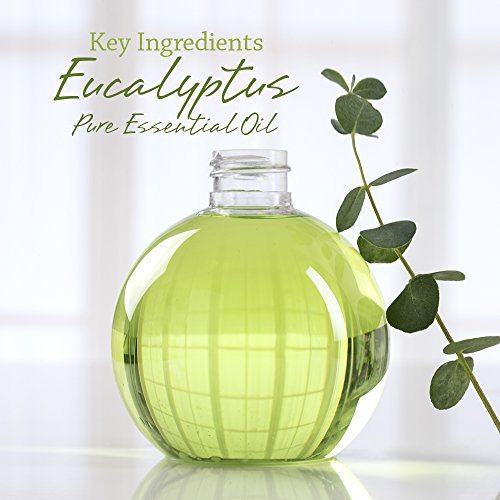 Viois, Eucalyptus Car Air Freshener(Gel Type). Handcrafted Natural Air Freshener For Car And Small Room. Chemical Free & Non Toxic. #TOP3