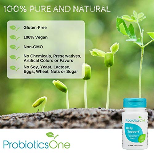 Daily Support - #1 Rated Probiotic Supplement - Perfect Balance Of Strains And Cfus - Easy To Swallow Time Release Pearls - Use Just One Per Day - 100% Vegan And Gluten-Free #TOP13
