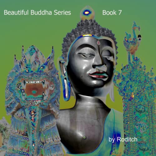 Beautiful Buddha Series: Book 7