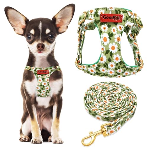 OaaXbbECco vȂԕqn[lXA\tg߉\pn[lXxXgƌp[VZbg `[NGXP[vvvvv[t(O[fCW[AXS)