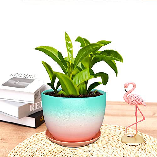 Fchen Art Ceramic Plant Pots Flower Pot With Drainage Hole Indoor Plants Hole For Indoor Plants Cactus Succulent Snake Plants Bamboo Clay Pottery Garden Pots For Outdoor Plants Blue Pink 6.7“X5.1 #TOP6