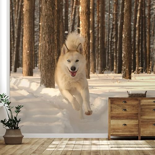 SIGNFORD Custom Wall Mural Prints with Your Photos Removable Wallpaper