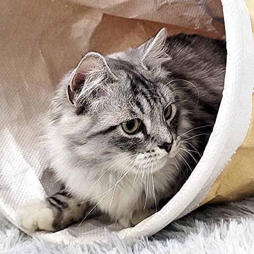 Heykitten Tearproof Paper Cat Play Tunnel With Crinkle Sound, Durable Kraft Constructed, Collapsible Hideaway Pet Toy For Indoor Kittens, Puppies, Bunnies, Ferrets And Adult Pets, 10" Small #TOP4