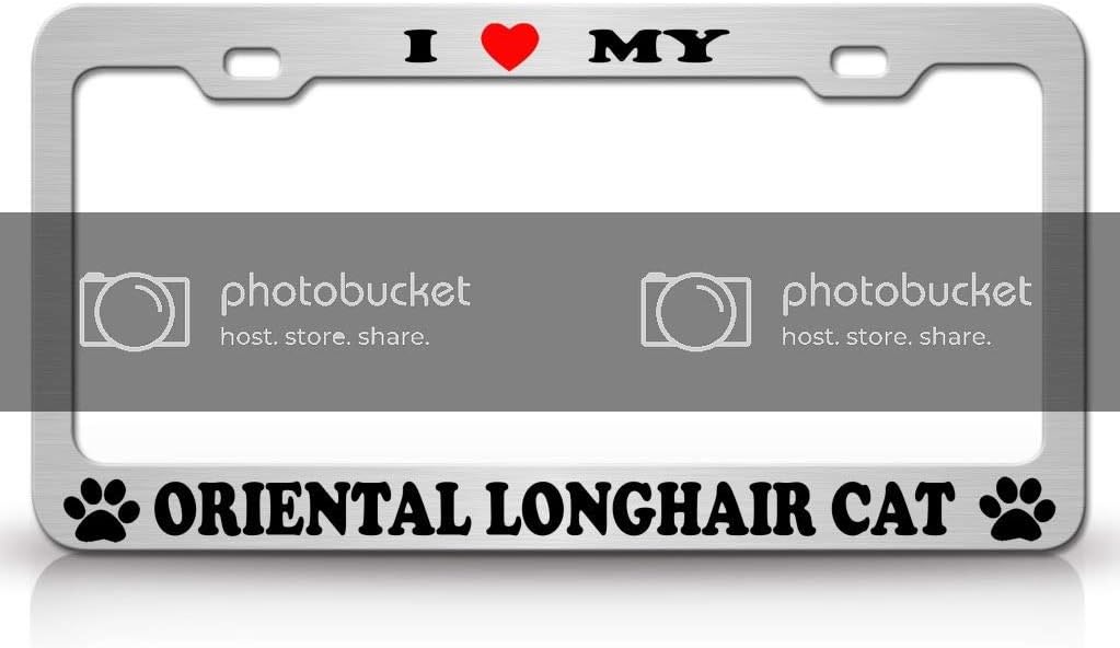 I Love My Oriental Long Hair Cat Pet Animal Metal Car SUV Truck License Plate Frame Ch/Bl n76
