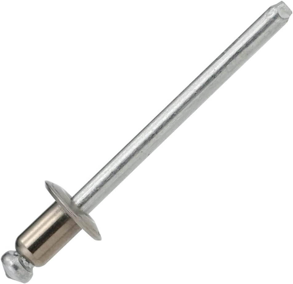 現地株 チレコドン レティキュラータス 万物想 渋谷英一作家鉢付き