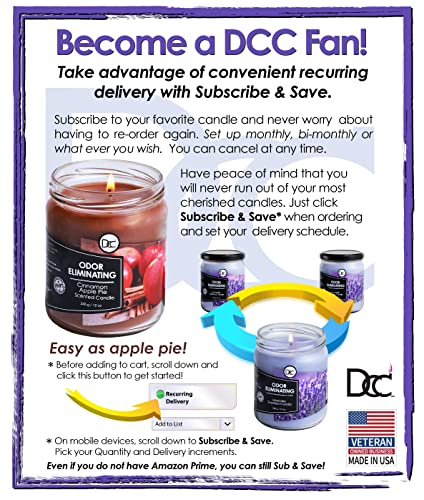 Pumpkin Spice Odor Eliminating Highly Fragranced Candle - Eliminates 95% Of Pet, Smoke, Food, And Other Smells Quickly - Up To 80 Hour Burn Time - 12 Ounce Premium Soy Blend #TOP3