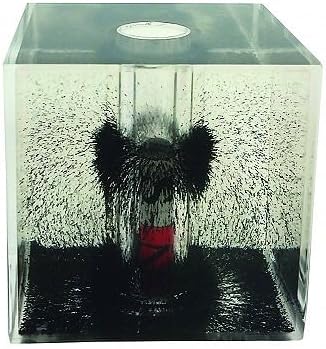 American Scientific Magnetic Field Cube