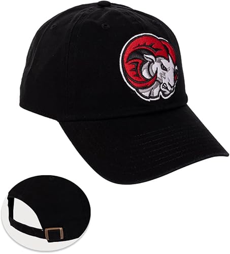 Desert Cactus Winston-Salem State University Gorra de béisbol Rams WSSU con ala bordada, correa de tela ajustable para adultos (estilo A) negro