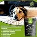 ThunderPup Premium Hemp Chews | Natural Calming Hemp Treats for Thunderstorms, Fireworks, Separation, & Traveling | Hip and Joint, Immune, & Overall Health Support, Chamomile & Valerian Root.