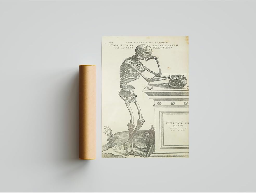 512 STORE İnsan Anatomisi İskelet Duvar Dekor Poster, 3232325r23tr