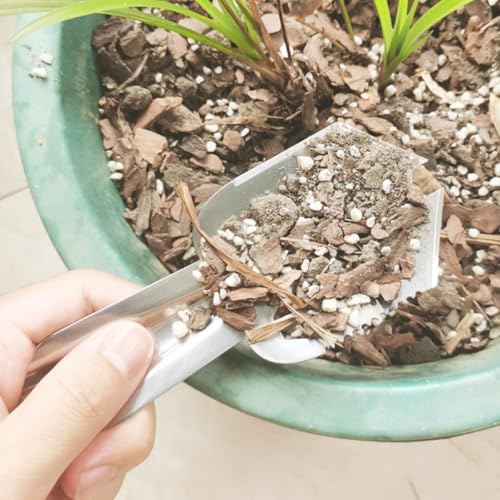 Set mini pala y cuchara para trasplante de jardín miniatura 5