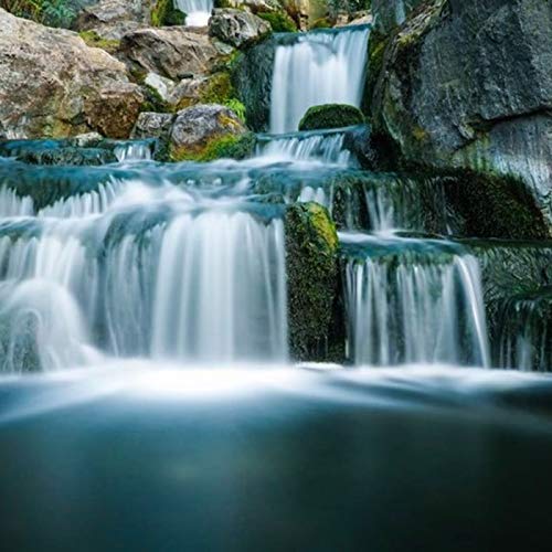 Perception Part 2 & The Flow of Life Podcast Por  arte de portada