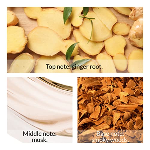 Avon Attraction for HIM Gift Set Boxed & Sealed containing 75ml Eau de Toilette & 200ml Hair & Body Wash - Image 4