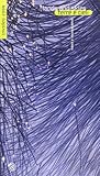  Lands and skies-Terre e cieli. Catalogo Invideo 2008. Ediz. bilingue (Mimesis)