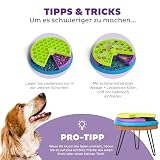 Outward Hound Nina Ottosson Hundespielzeug Intelligenz - Stufe 2 Erfahrene - Leckerli-Spender, Beschäftigung & Intelligenzspielzeug für Hunde & Welpen, bei Langeweile & mentaler Stimulation