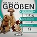 ZENITHIA Zeckenhalsband für Hunde - Flohhalsband hundeFlohschutz Halsband für Hunde – Zeckenhalsband - 100% Natürlich - Schutzhalsband gegen Flöhe - 12 Monate Schutz – 65 cm verstellbar (2 Einheiten)