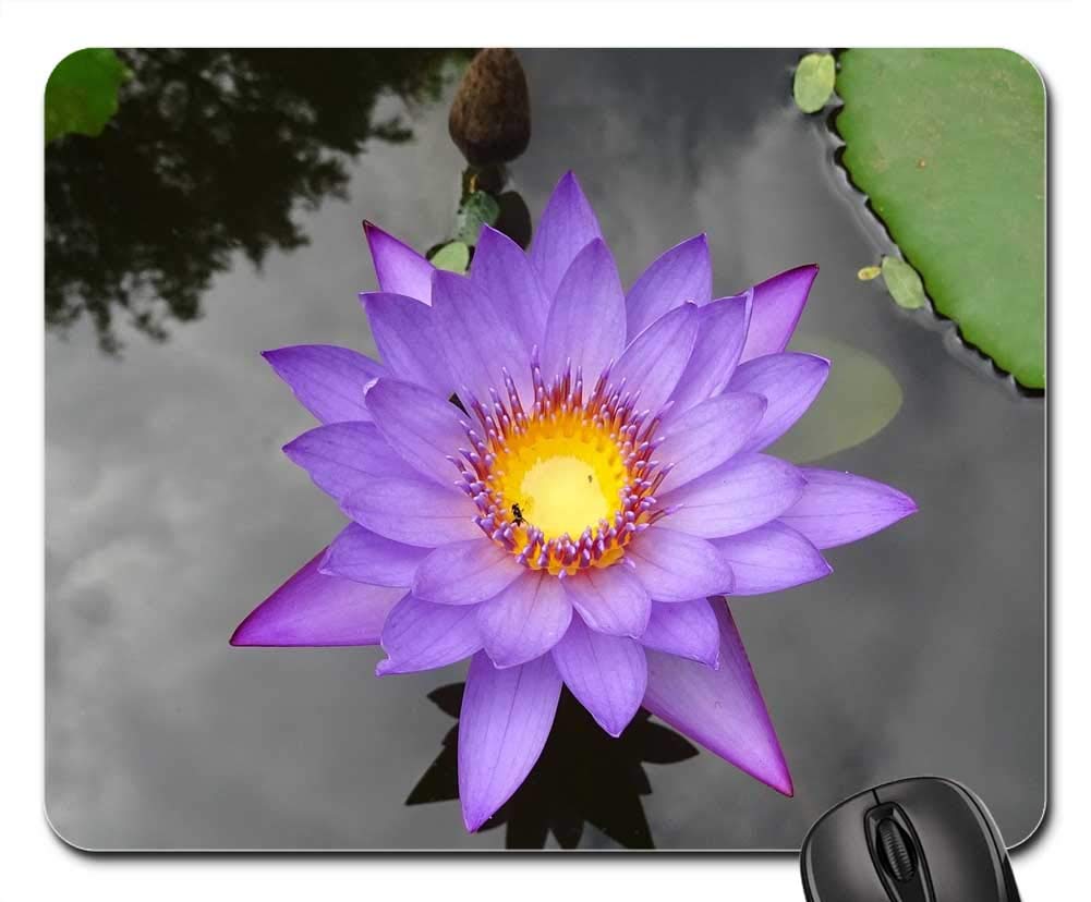 Mouse Pad - Lily Flower Blue Water Lily Neelkamal Nil-Sapla