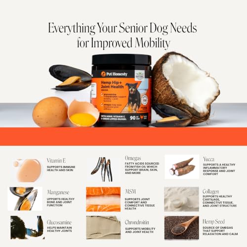 Image of Senior Hemp Hip and Joint Supplement for Dogs - Glucosamine Chondroitin, MSM & Green Lipped Mussel - Relief for Joint Stiffness, Advanced Strength Mobility Support for Senior Dogs (Chicken, 90 Ct)