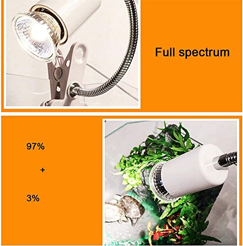 Maotopcom 6-Pack Reptile Heat Lamp Bulb, E26/E27 75 Watt Full Spectrum Sun Light Lamp For Bearde Dragon thumb #4