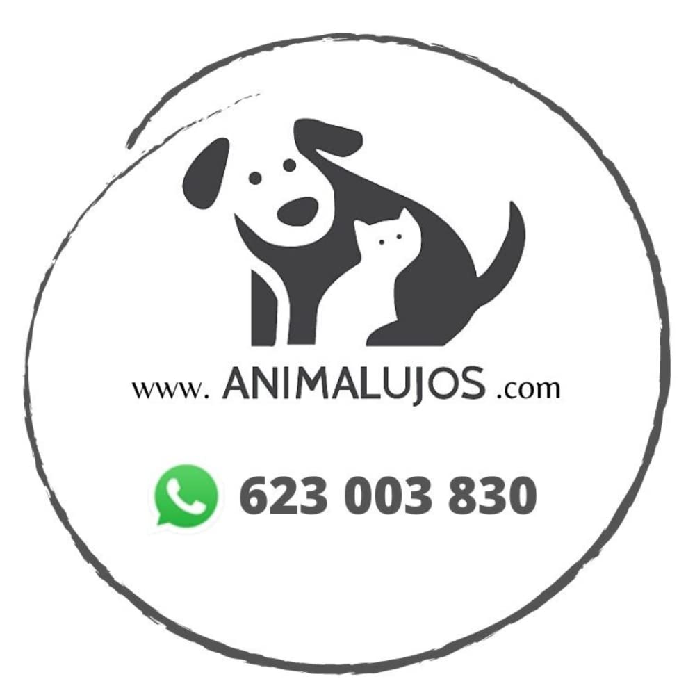 ANIMALUJOS - Kit Lactancia Gatitos con 6xLeche de Cabra Schesir 150ml Incluye Biberón Tetina Cepillo, Alimento Completo Sin Cereales con DHA Taurina para Cachorros Recién Nacidos