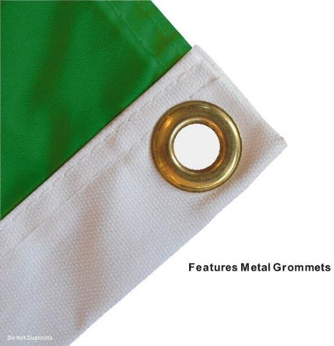 College Flags & Banners Co. Irish Shamrock Banner Flag